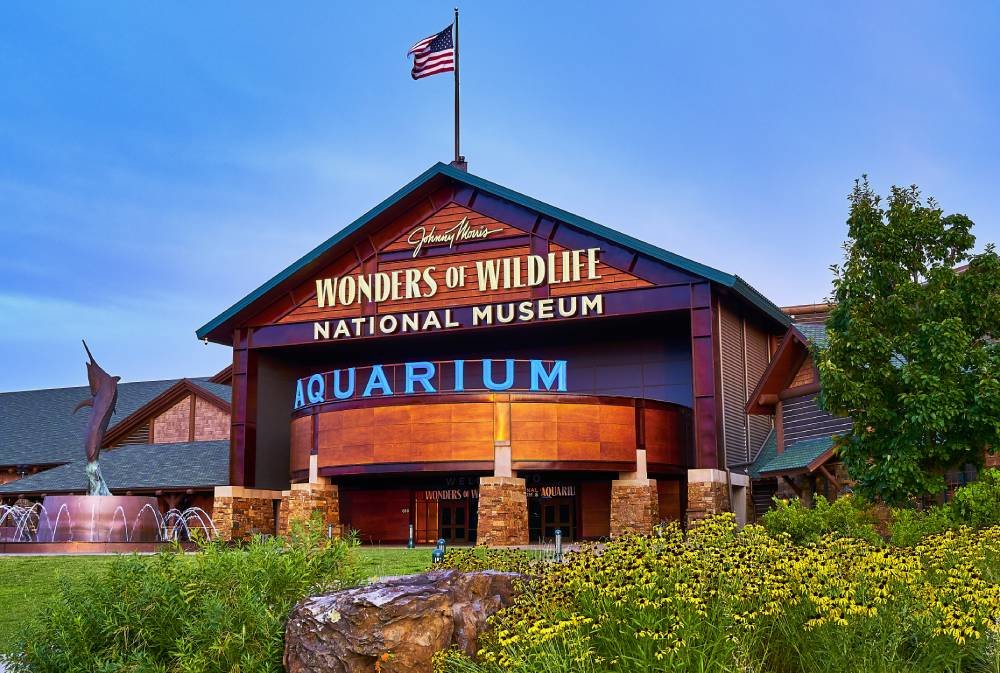 Johnny Morris’ Wonders of Wildlife National Museum & Aquarium is No. 1 on USA Today's annual 10Best poll of the top North American aquariums.